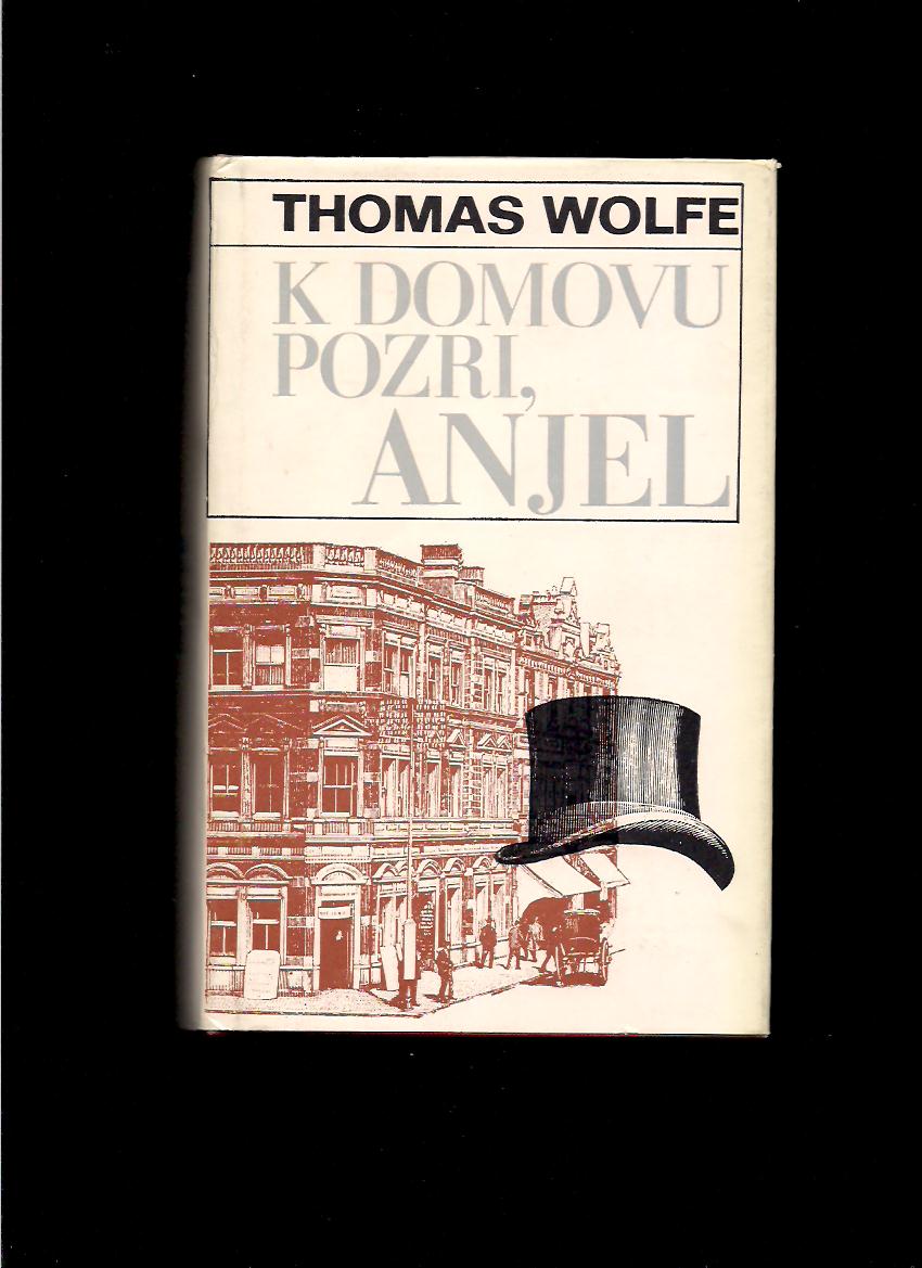 Thomas Wolfe: K domovu pozri, anjel