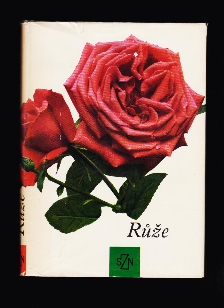 Ludvík Večeřa: Růže