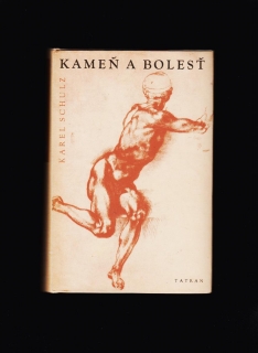 Karel Schulz: Kameň a bolesť /životopis Michelangelo Buonarroti/