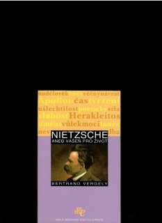 Bertrand Vergely: Nietzsche aneb Vášeň pro život