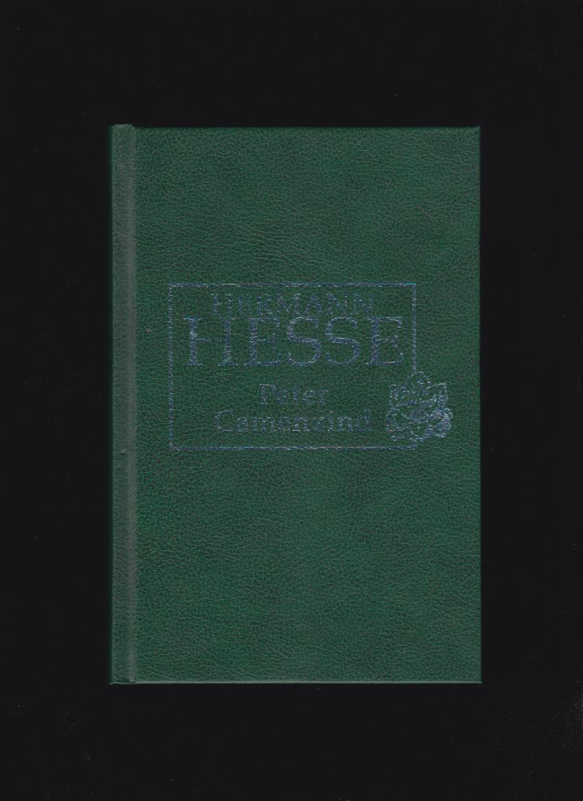 Hermann Hesse: Peter Camenzind