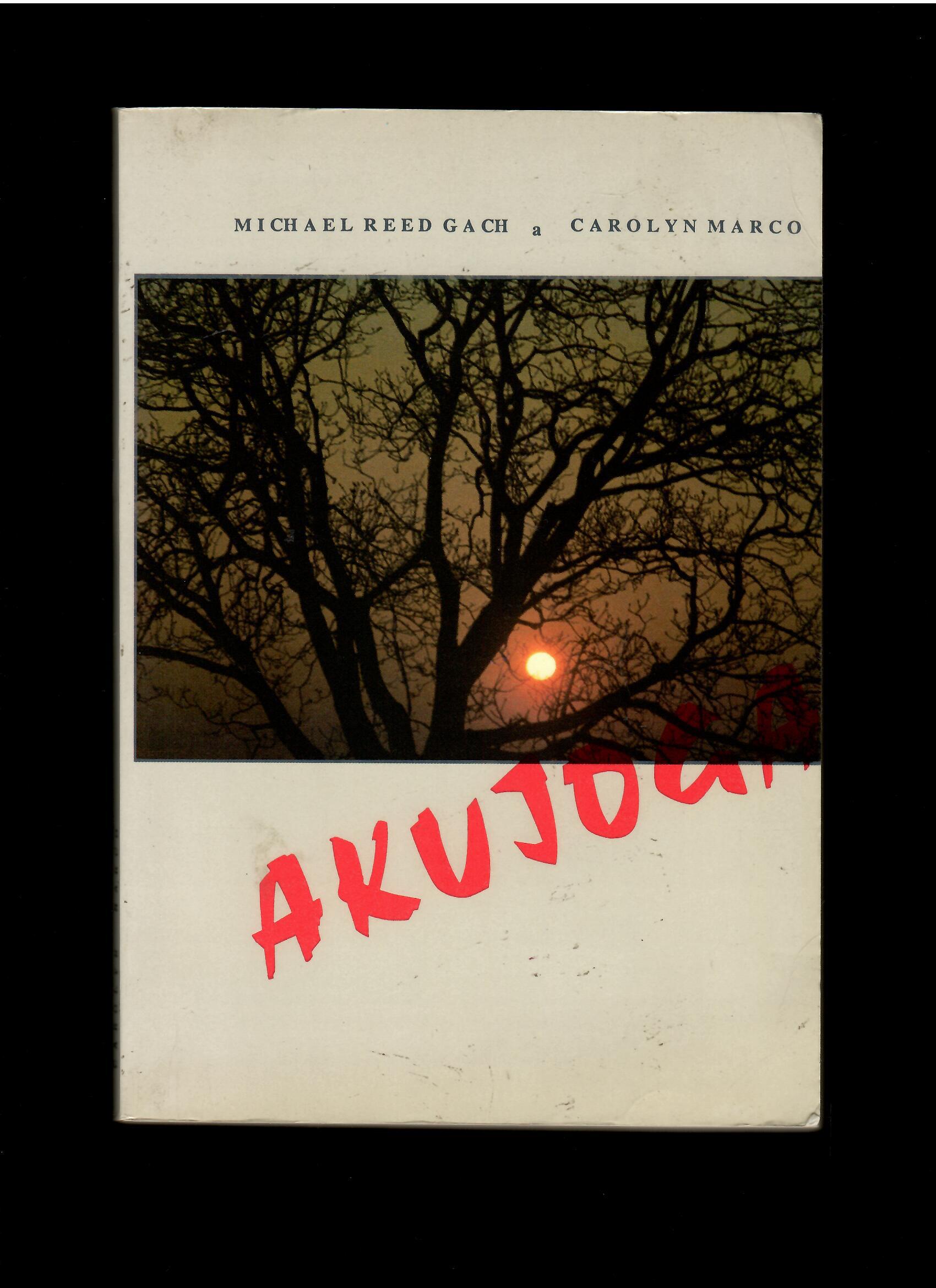Michael Reed Gach: Akujoga