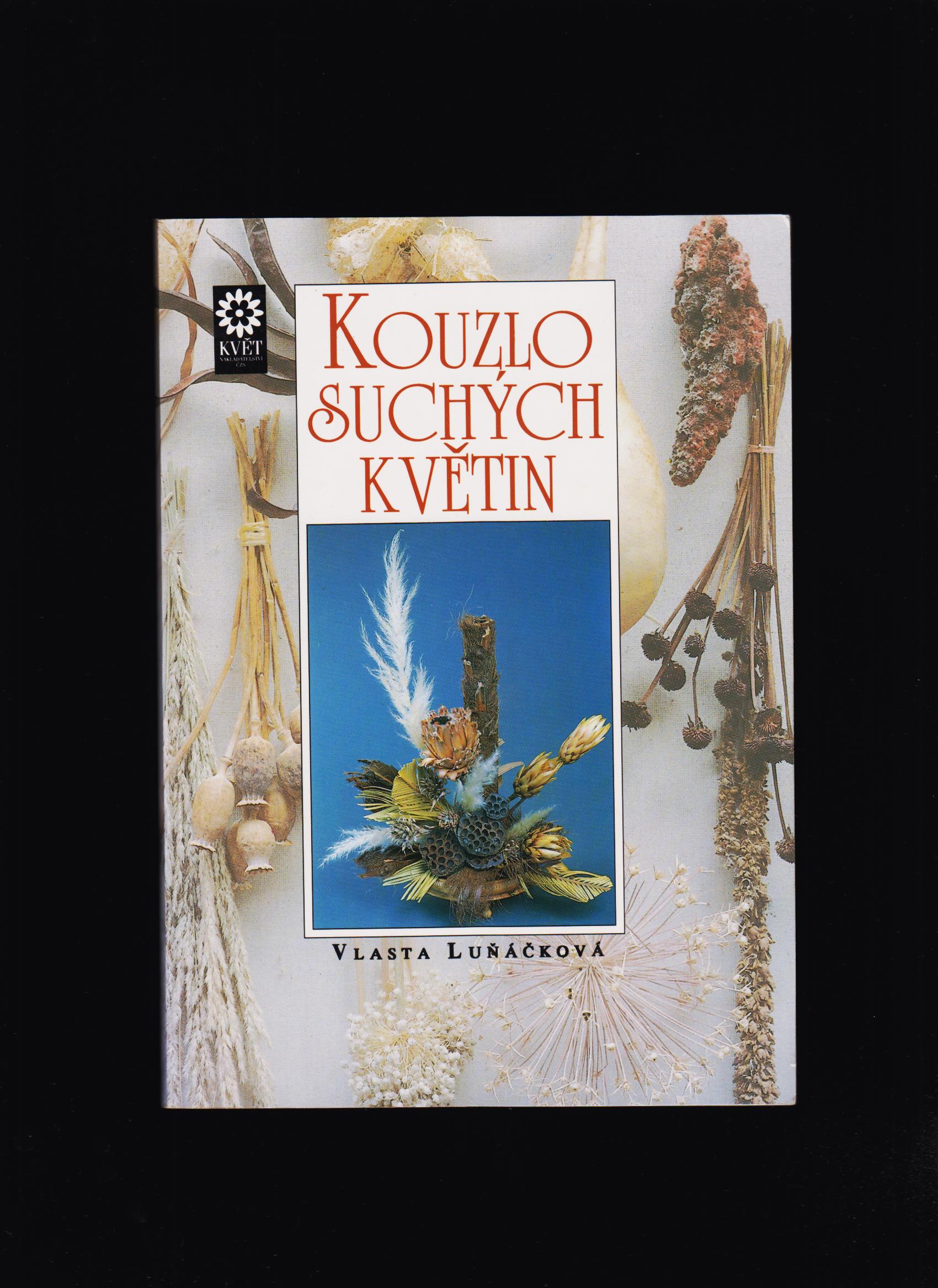 Vlasta Luňáčková: Kouzlo suchých květin