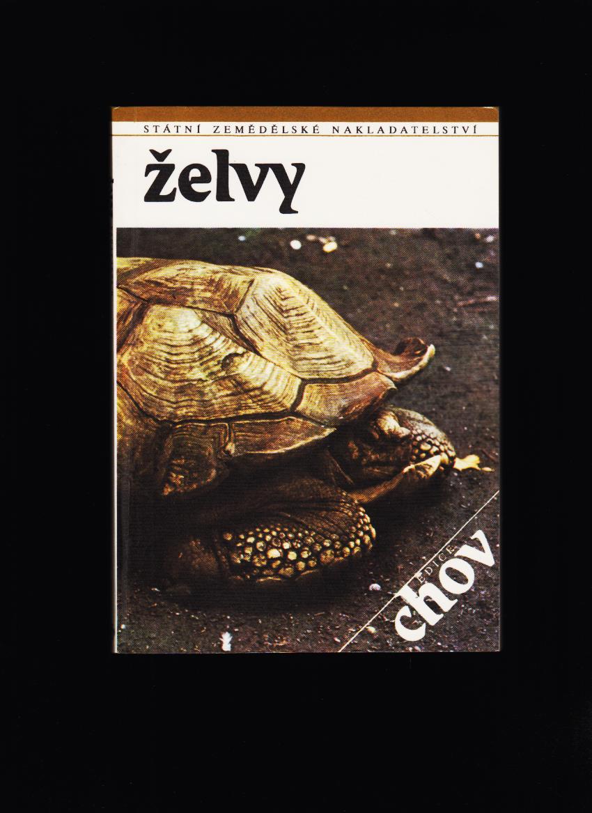 Fridrich Szalay, Helena Szalayová: Želvy