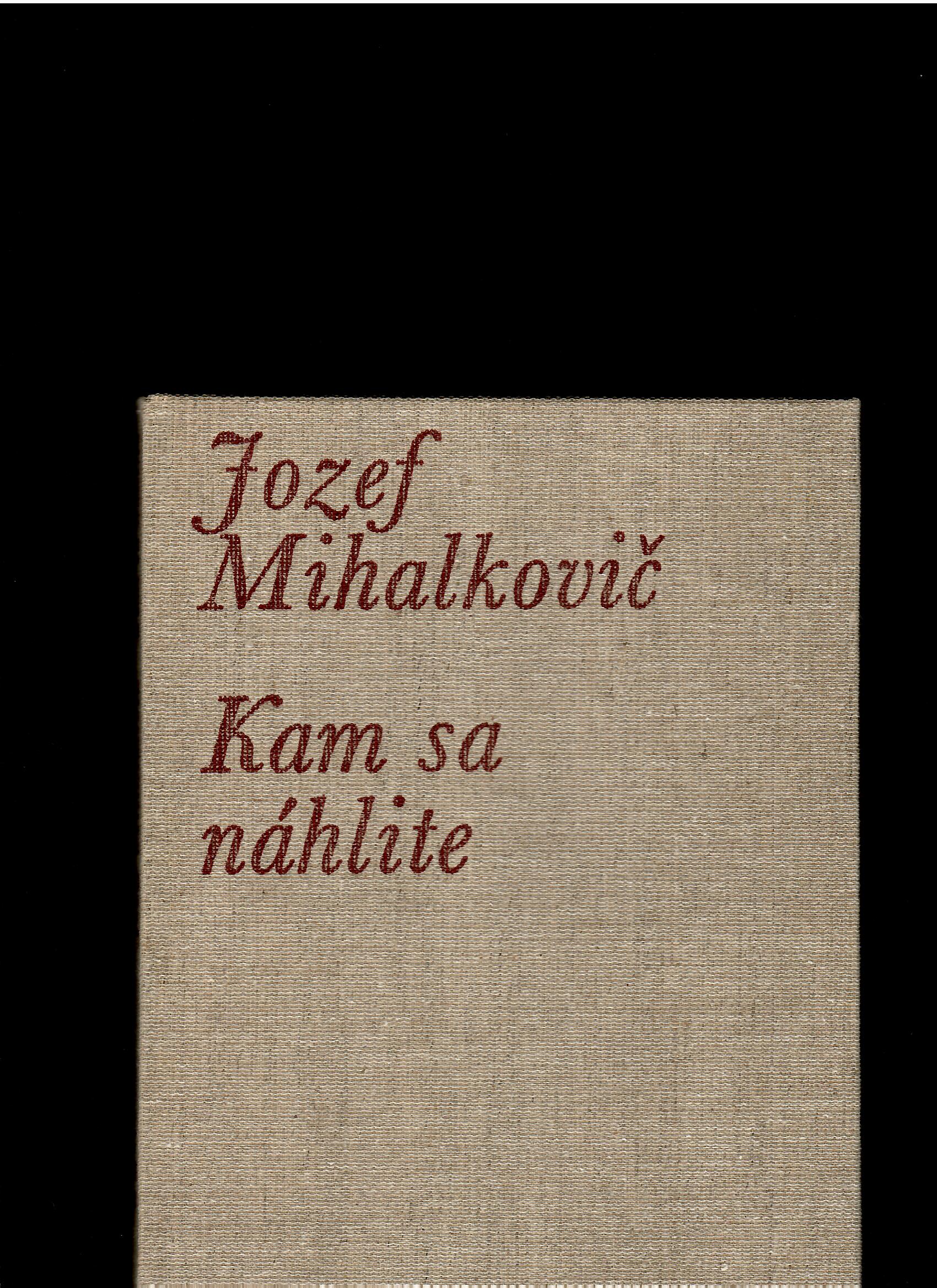 Jozef Mihalkovič: Kam sa náhlite /il. Ľudovít Hološka/
